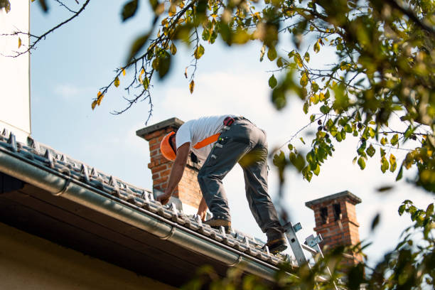 Best Storm Damage Roof Repair  in Huber Ridge, OH