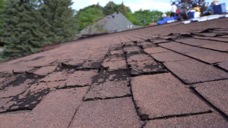 Best Metal Roofing Installation  in Huber Ridge, OH