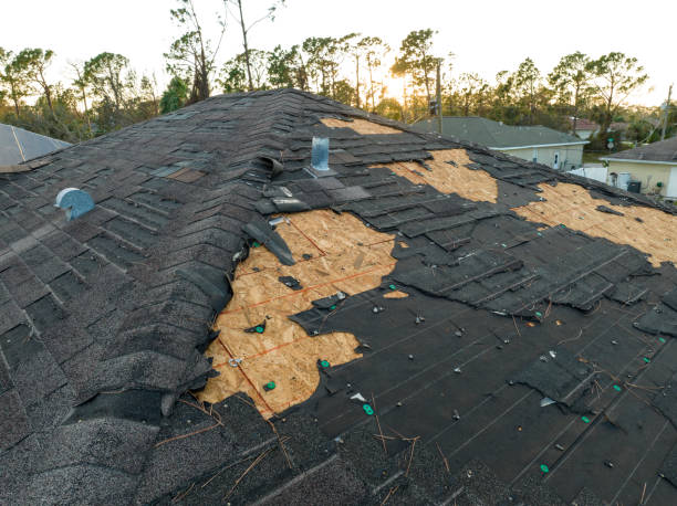 Best Skylight Installation and Repair  in Huber Ridge, OH
